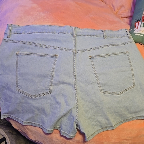 BloomChic Light Blue Embroidered Floral Shorts - Picture 5 of 6